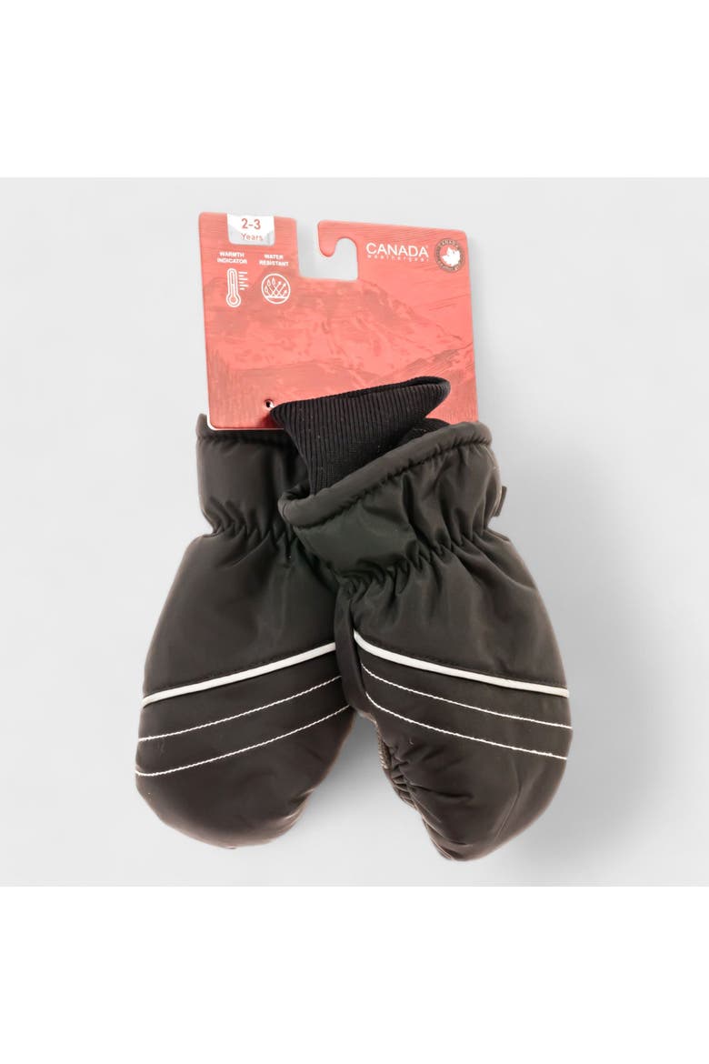 Kid's Ski Mittens, Alternate, color, Black
