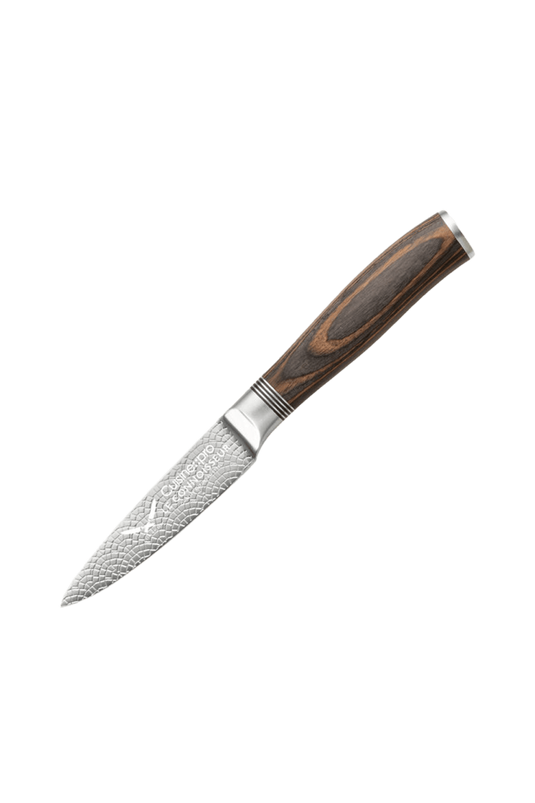 LE CONNOISSEUR™ 3.5in Paring Knife, Main, color, Silver