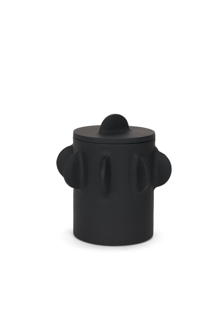 Deacon Metal Canister with Sculptural Handles, Main, color, Black
