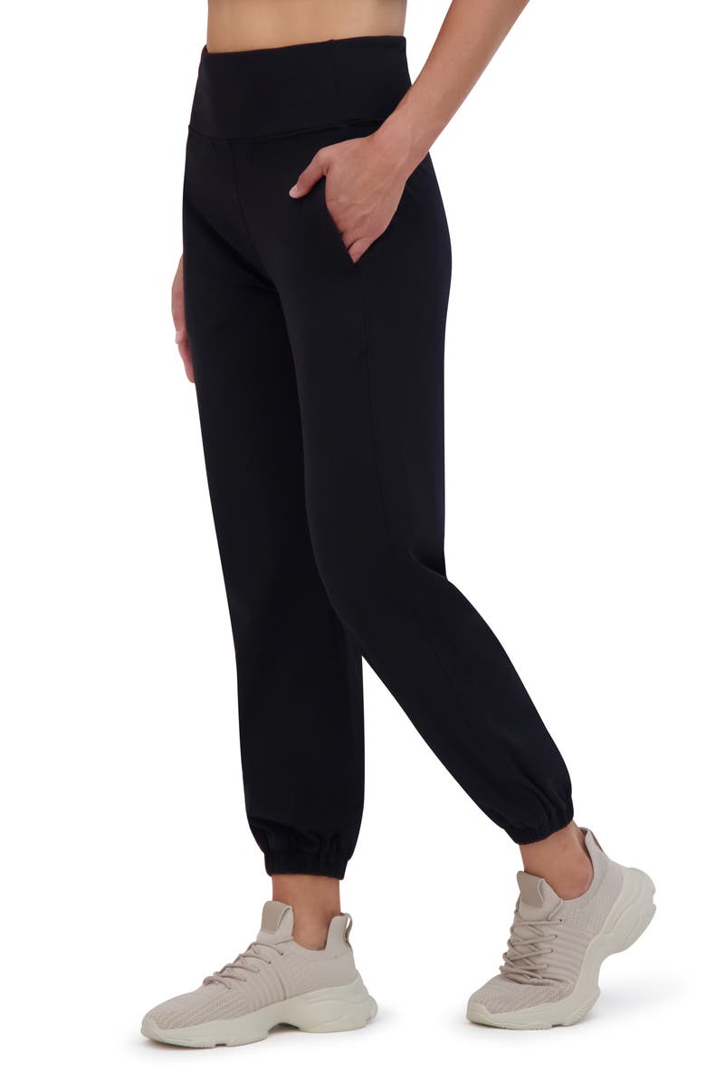 SAGE COLLECTIVE Skinny Performance Joggers, Alternate, color, 