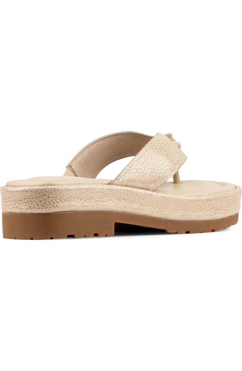 Donald Pliner Samiya Platform Flip Flop, Alternate, color, Platinum