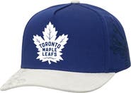 Mitchell & Ness Men's Mitchell & Ness Blue/Gray Toronto Maple Leafs May Flowers Pro Crown Adjustable Hat