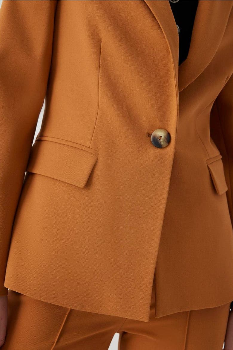 Alona Blazer Jacket, Alternate, color, CINNAMON