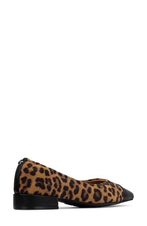 Donald Pliner Ladonna Pointed Toe Pump In Brown