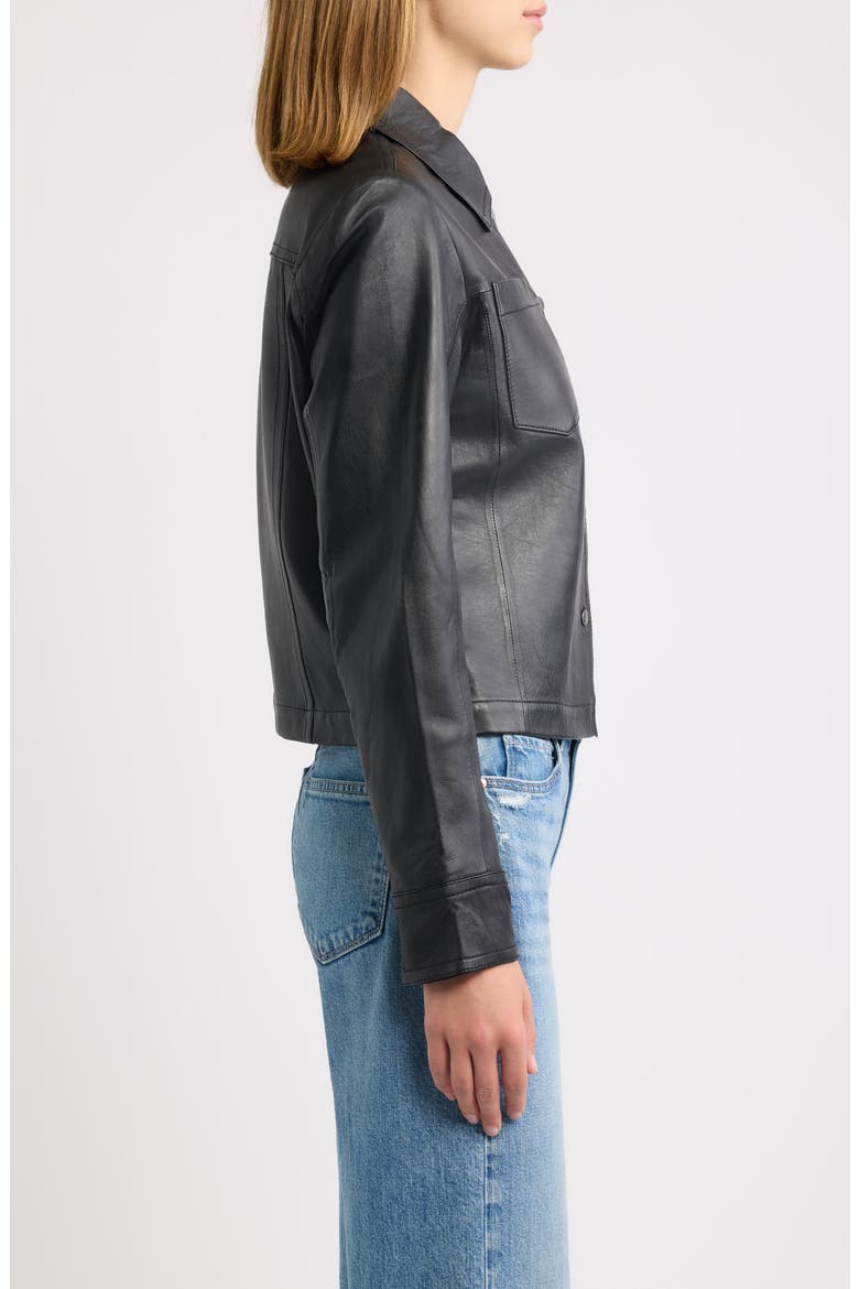 Lefei Leather Jacket, Alternate, color, BLACK/ BLACK