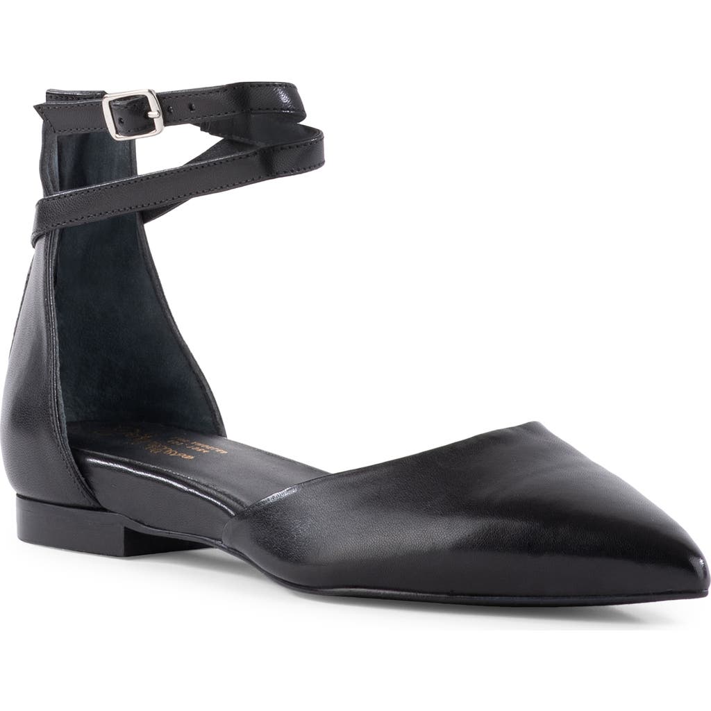 Seychelles Ankle Strap D'orsay Pointed Toe Flat