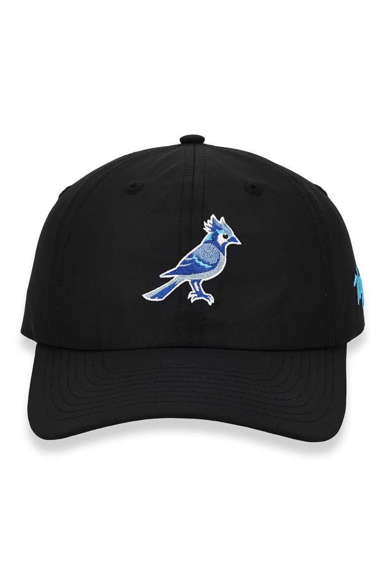 Blue Jay Flight Baseball Cap, Alternate, color, BLACK