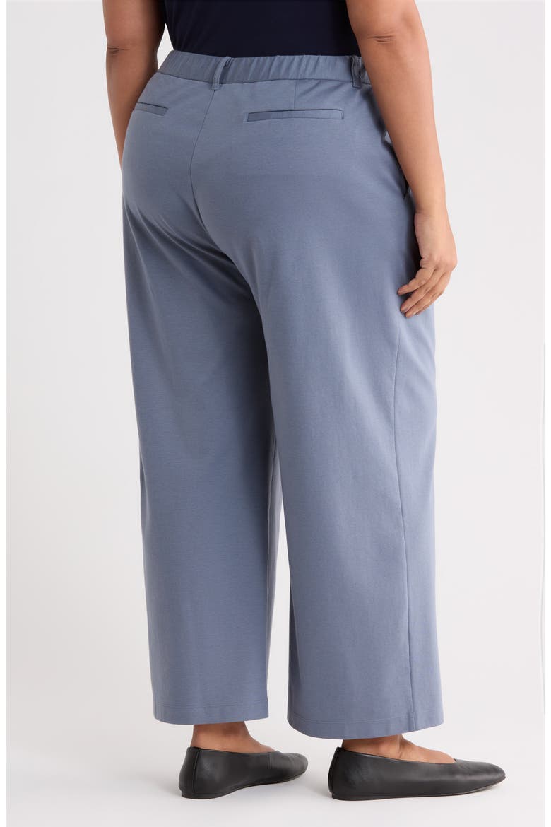 High Waist Ankle Wide Leg Pants, Alternate, color, FLINT