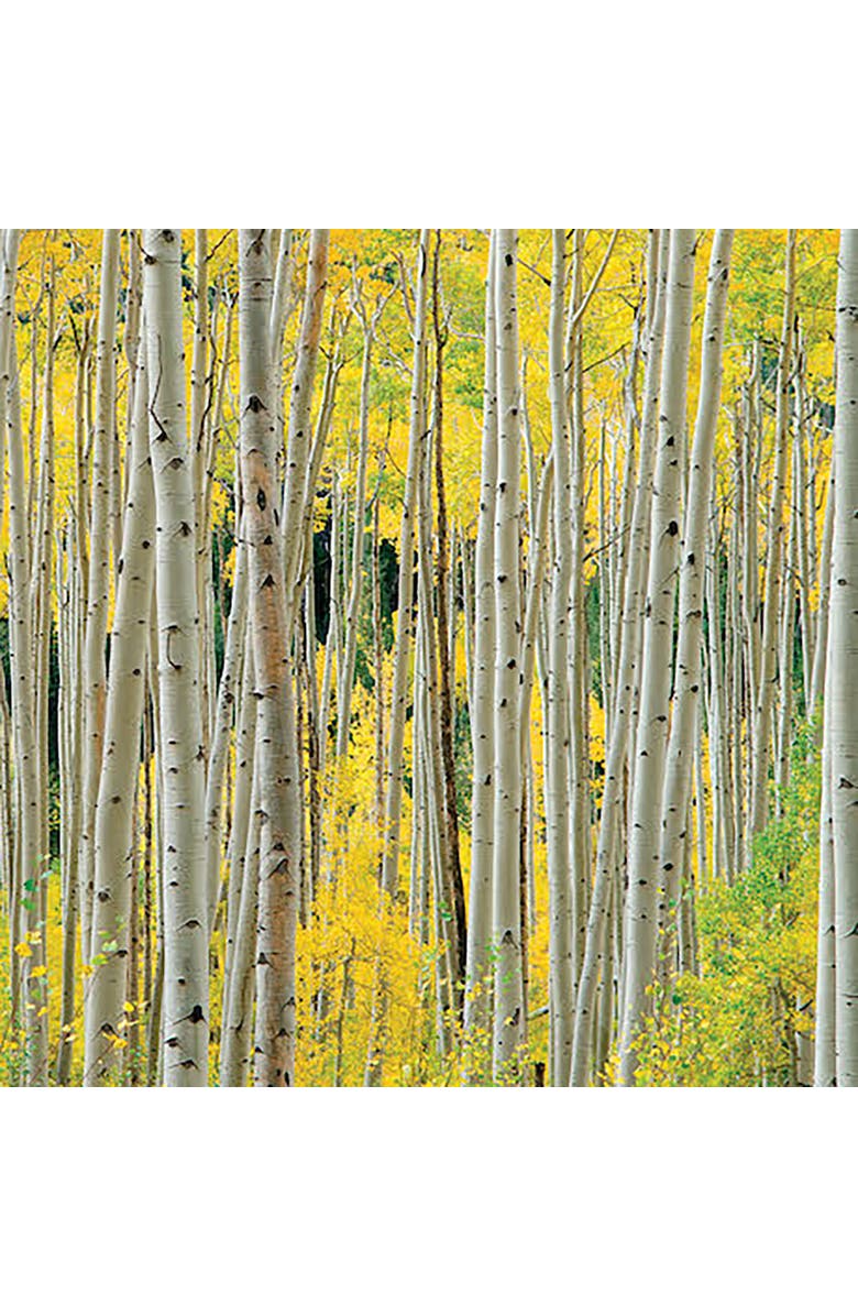 Hart Puzzles Aspens, Aspens, Aspens 1000 Piece Puzzle by OW Lawrence, Alternate, color, Multicolored