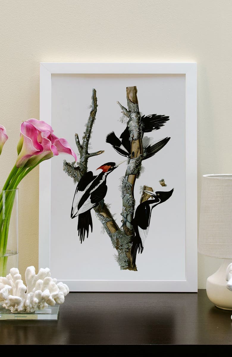iCanvas 'Ivory Billed Woodpecker' Framed Fine Art Print, Alternate, color, 