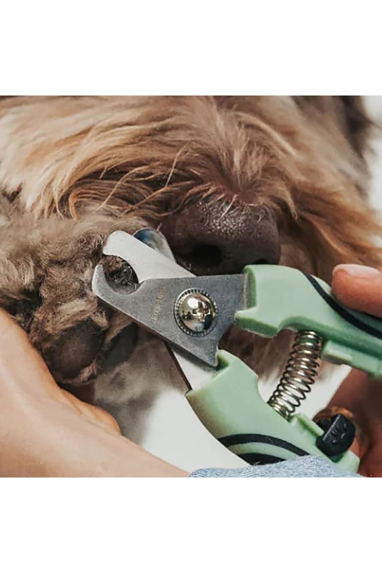Pet Nail Clipper, Small, Sage Green, Dog & Cat Grooming Tool, Alternate, color, Green