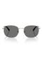 selected Silver / Dark Grey Polar