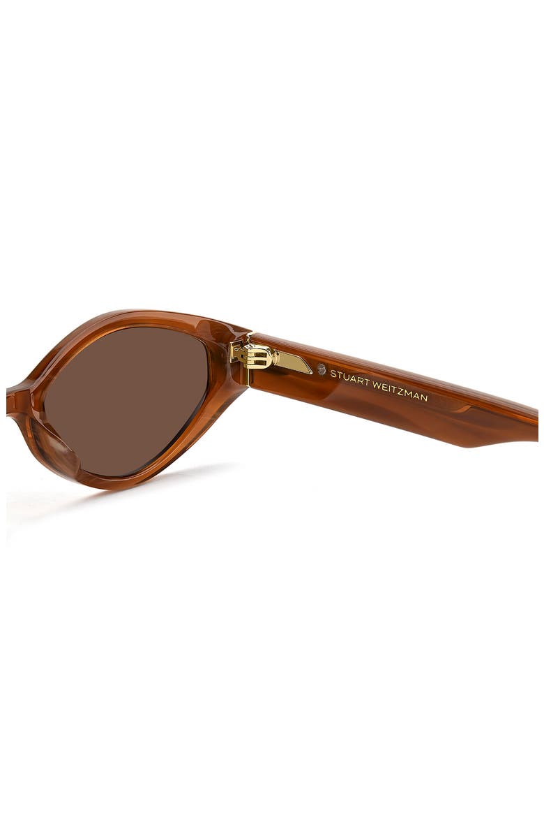 WZN 8029/S 54mm Oval Sunglasses, Alternate, color, HAVANA BROWN/ BROWN