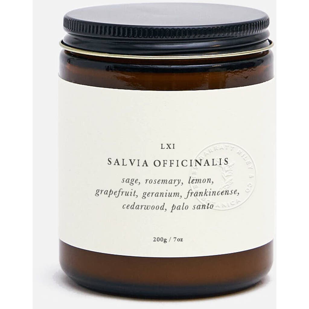 Barratt Riley & Co. Salvia Officinalis Botanical Candle In Transparent