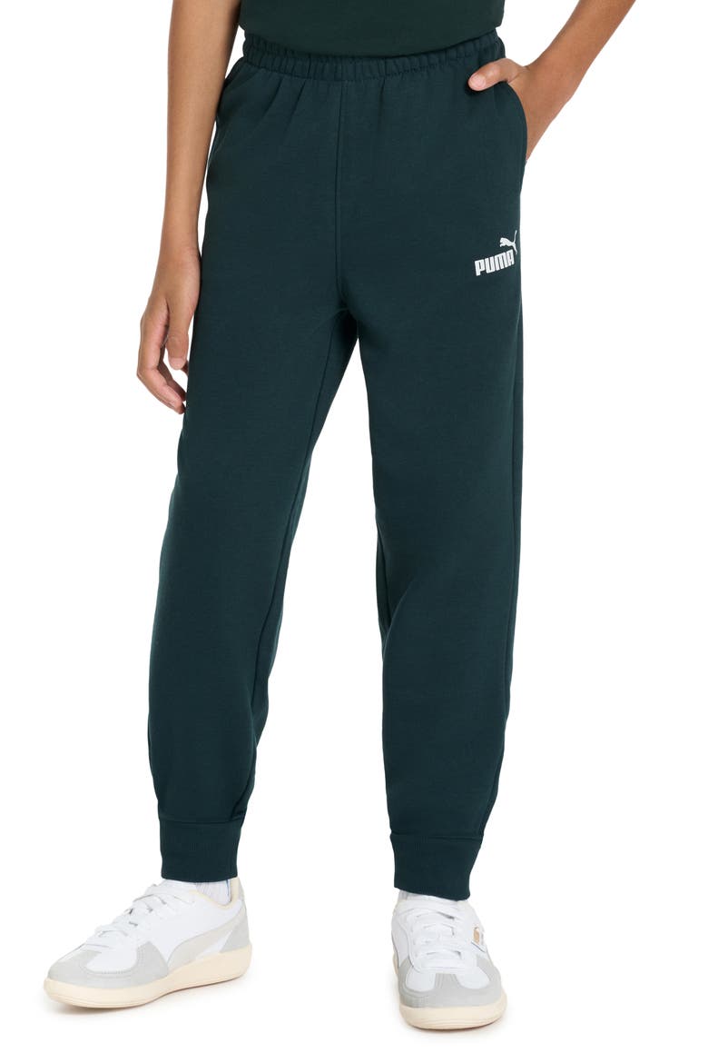 Kids' Core Pack Cotton Blend French Terry Joggers, Alternate, color, MIDNIGHT TURQ