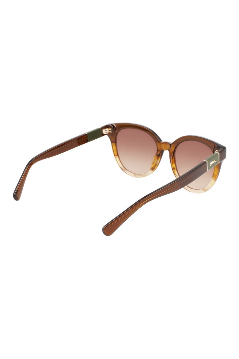 Le Pliage 53mm Oval Sunglasses, Alternate, color, STRIPED HONEY