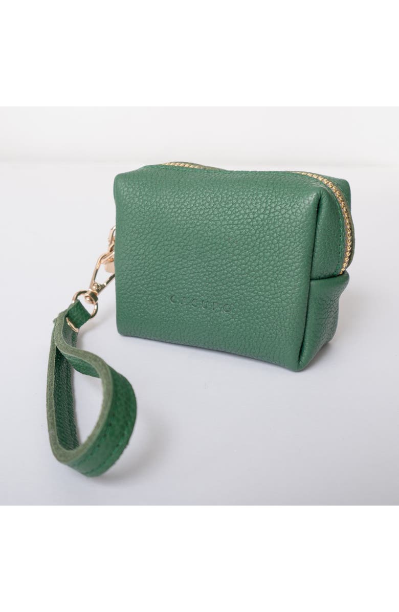 Casupo Mini Zipper Bag with Wristlet, Alternate, color, Green