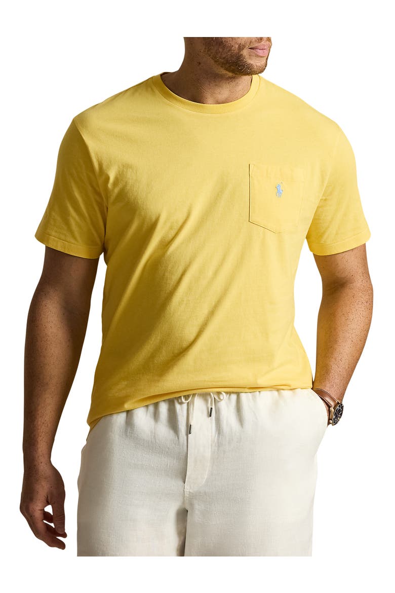 Big & Tall Classic Fit Jersey Crewneck Pocket Tee, Main, color, SUNFISH YELLOW