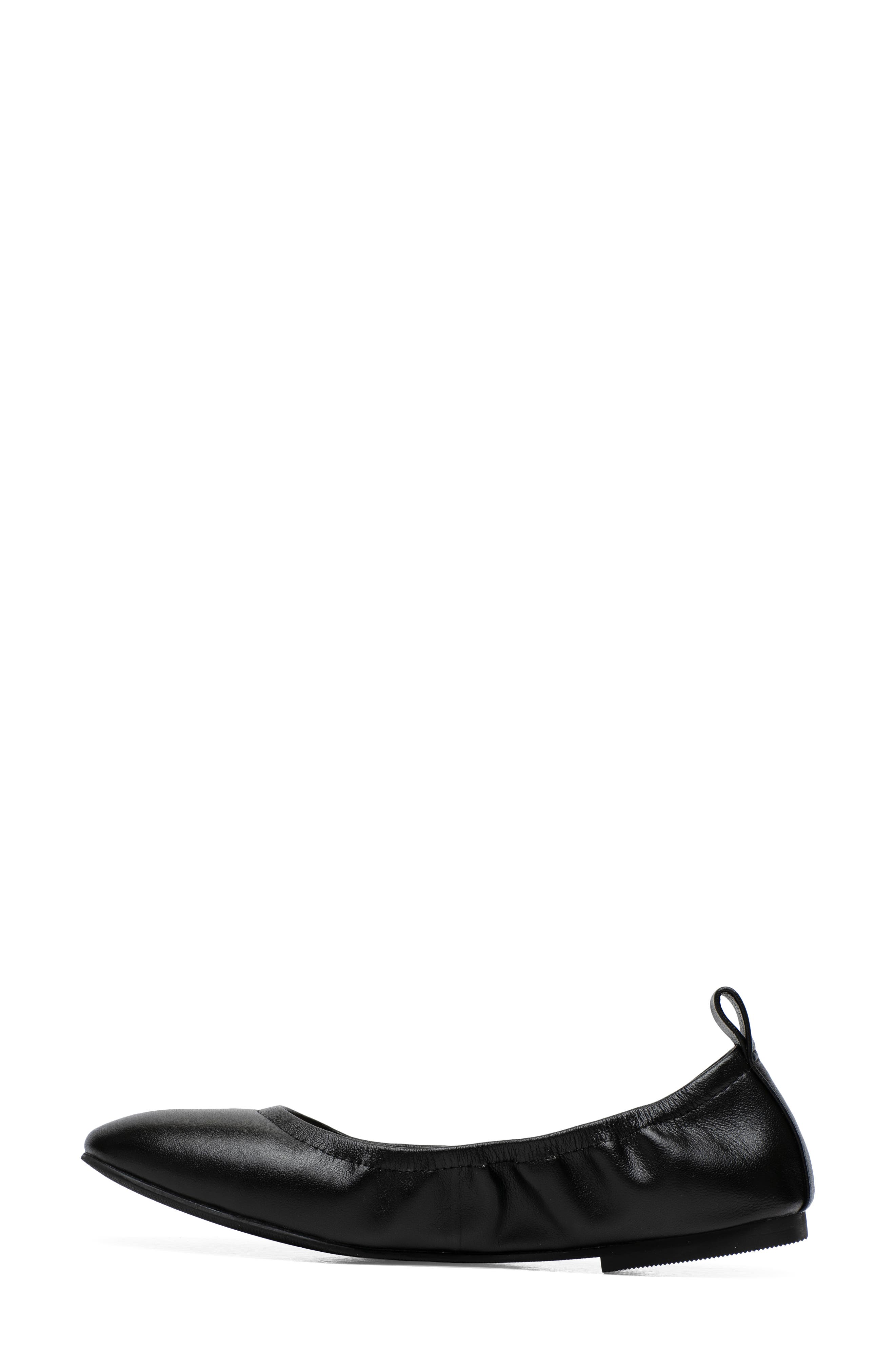 Linea Paolo Monte Ballet Flat, Alternate, color, 