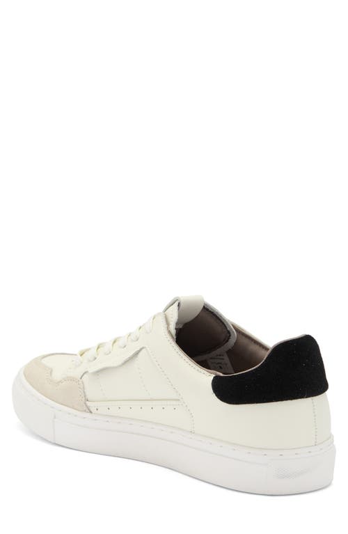 Allsaints Alton Low Top Sneaker In Black/chalk
