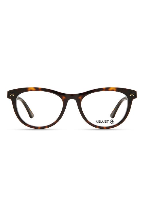 Velvet Eyewear Carol 55mm Oval Optical Glasses In Tortoise
