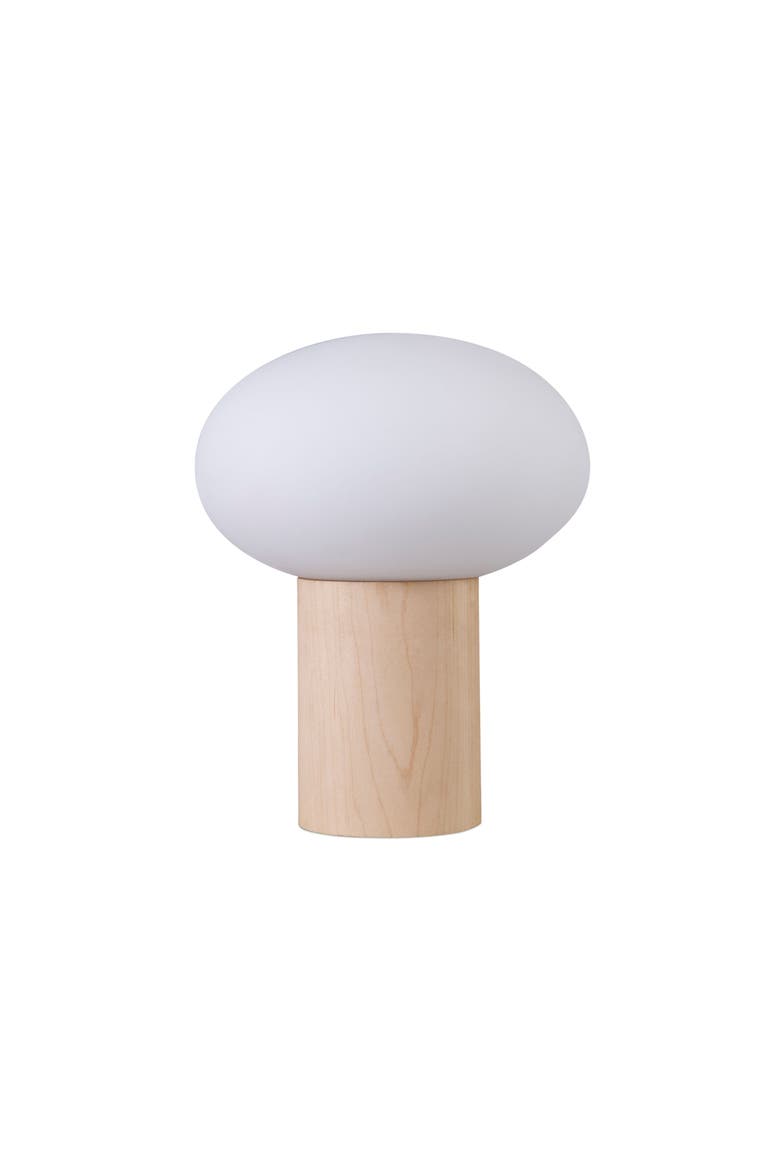 Ivy 9.5" Modern LED Table Lamp with Oval Frosted Glass Shade and Phone Charging USB-C Port, Main, color, Wood