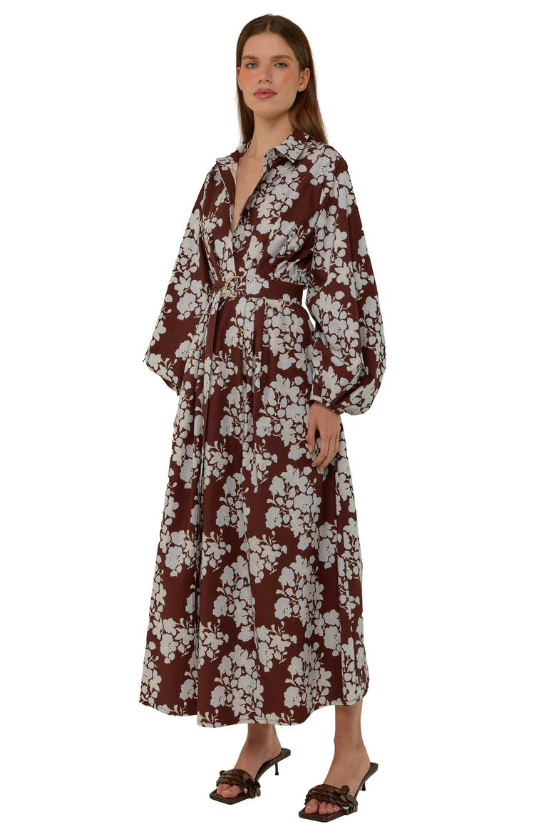 Emily Shirt Dress, Alternate, color, Tasman Floral
