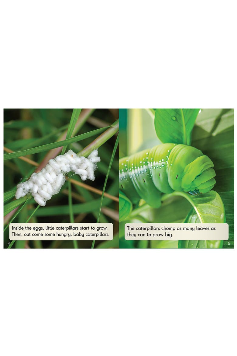 Phase 6 Nonfiction Educational Learning Set, Alternate, color, Multicolored