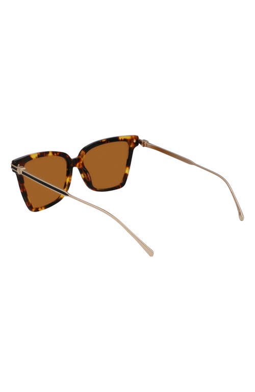 Ferragamo Gancini 56mm Butterfly Sunglasses In Dark Tortoise