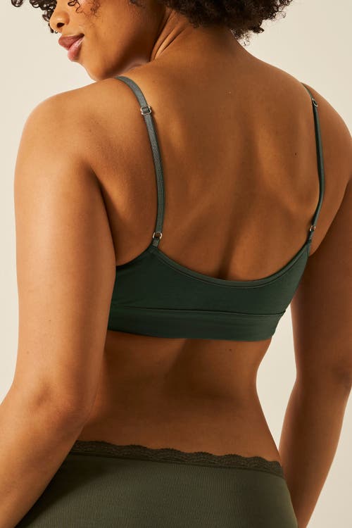Stripe & Stare T-shirt Bra & Original Knicker Set In Modern Khaki