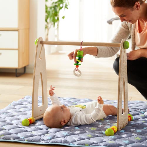 Haba Color Fun Play Gym