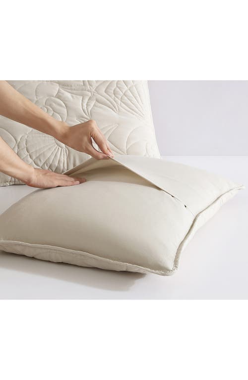 Beatrice Home Fashions Caribbean Joe Solid Outlined Shell Quilt Set