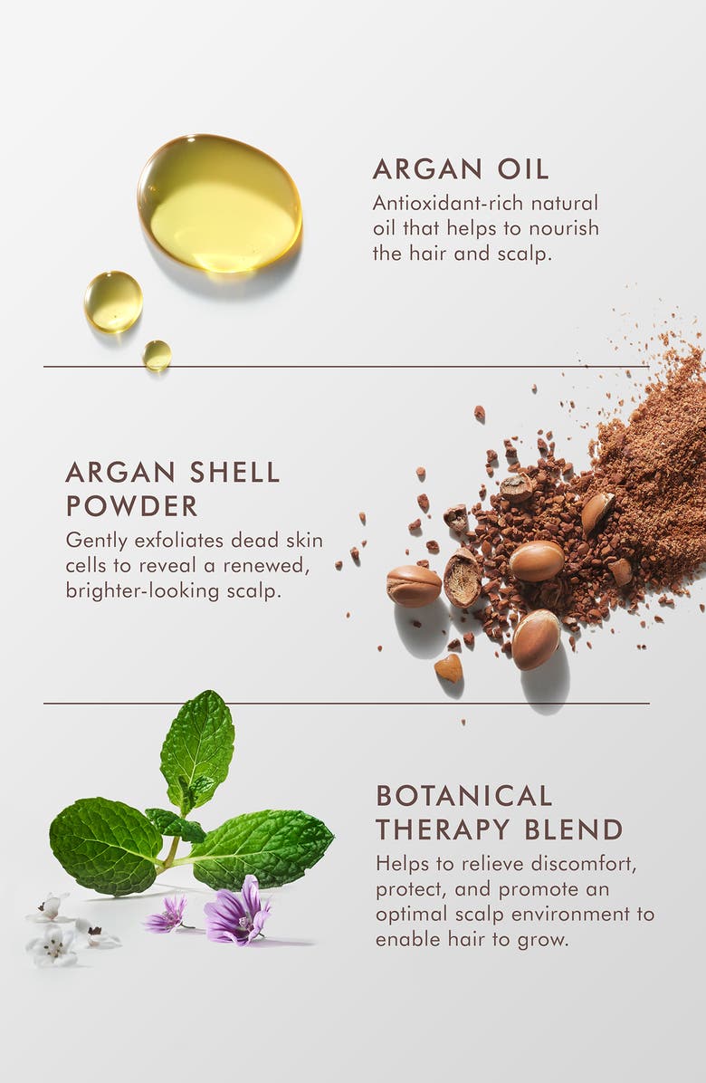 MOROCCANOIL<sup>®</sup> Purifying Pre-Wash Scalp Scrub, Alternate, color,