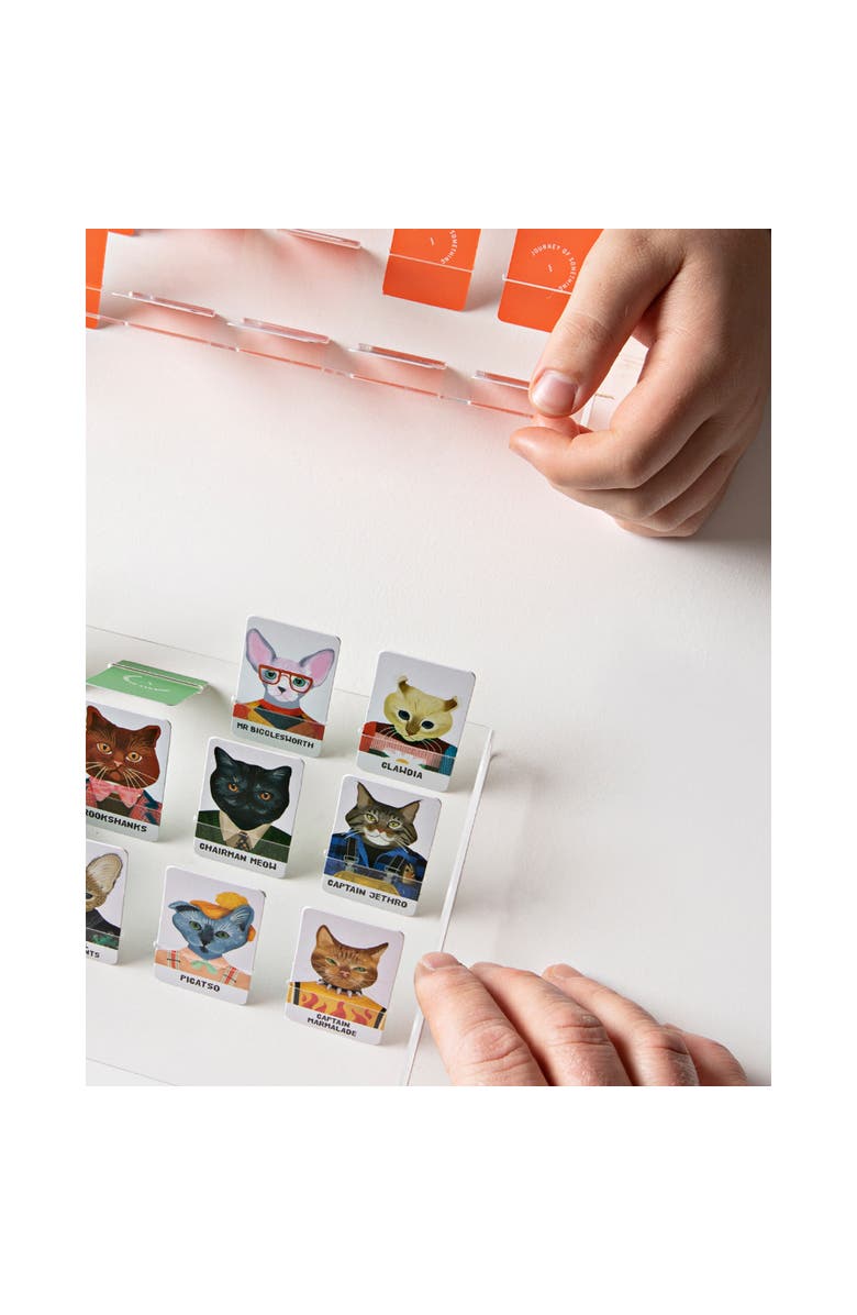 Journey of Something Guess the Feline, Quirky Cat Guessing Party Game, Alternate, color, Multicolored
