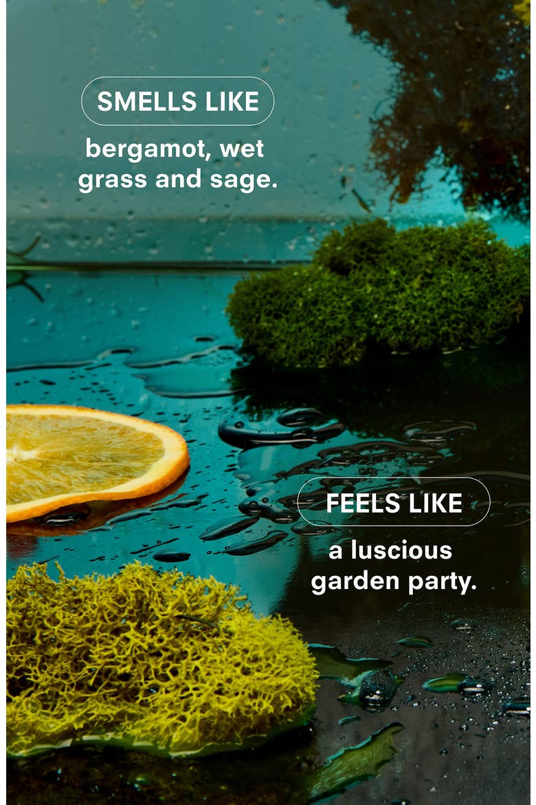 Herbaceous Candle, Alternate, color, NO COLOR