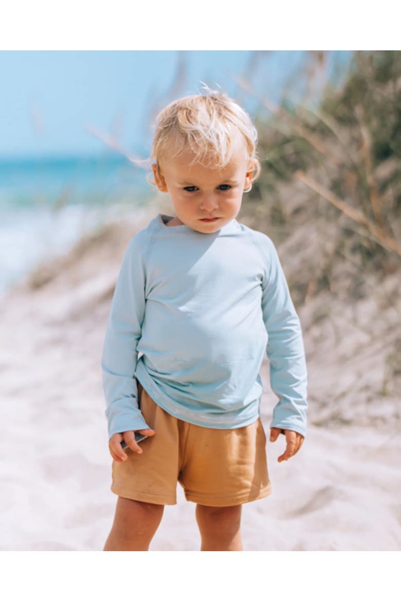 Toddler's Long Sleeve Crew Neck Top for Sun and UV Protection, Alternate, color, Soft Gray