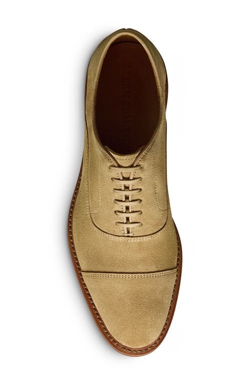 Allen Edmonds Park Verse Oxford In Bone