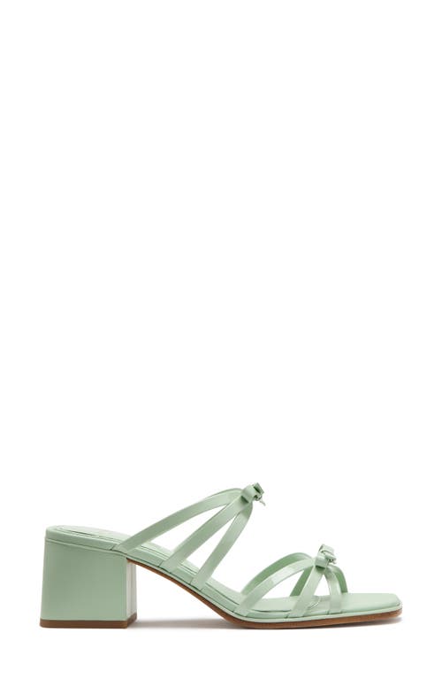Kate Spade New York Carolina Block Heel Sandal In Pistachio Ice