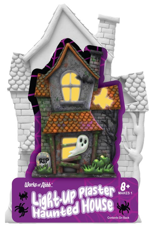 Haunted House Light-Up Plaster Kit