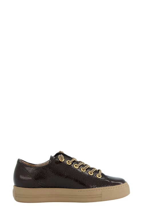 Paul Green Hadley Platform Sneaker In Brown