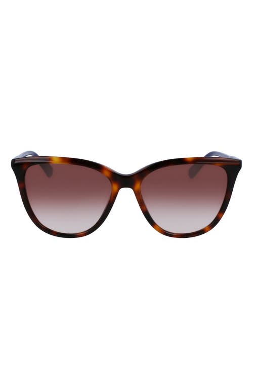 Longchamp Le Pliage 56mm Gradient Tea Cup Sunglasses in Havana