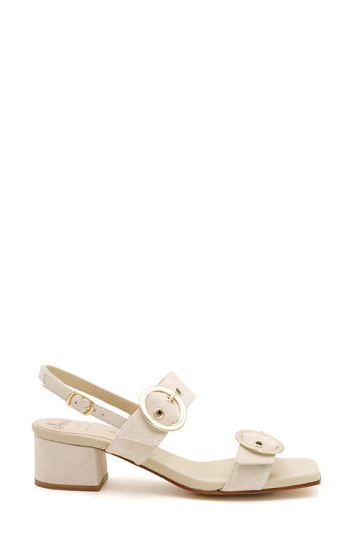 Amalfi By Rangoni Miriam Slingback Sandal In Ivory Cashmere - Gold Buckle