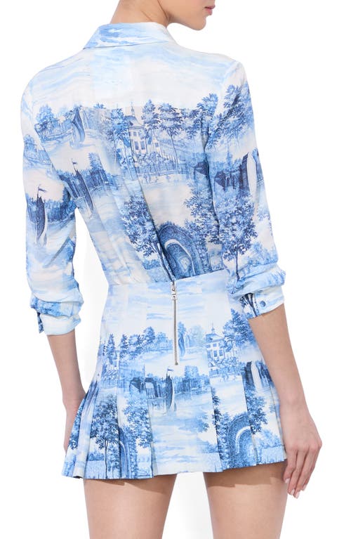 Alice And Olivia Willa Placket Blouse In Chateau