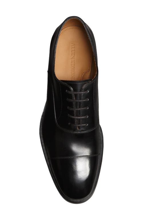 Allen Edmonds Siena Clean Cap Toe Oxford In Animal Print