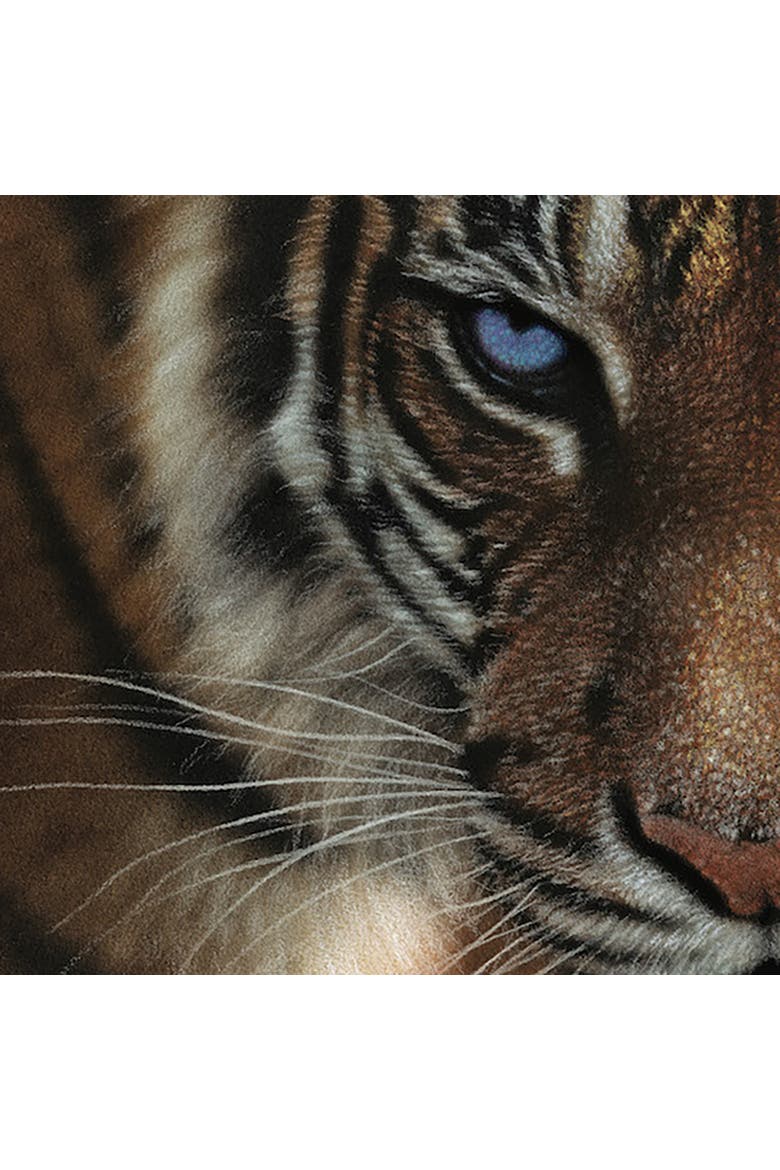 Blue Eyes Tiger 24 x 30 Inch 1000 Piece Puzzle, Alternate, color, Multicolored