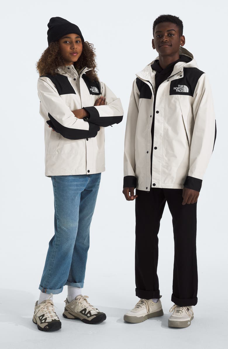 The North Face Kids' GTX Mountain Jacket, Alternate, color,