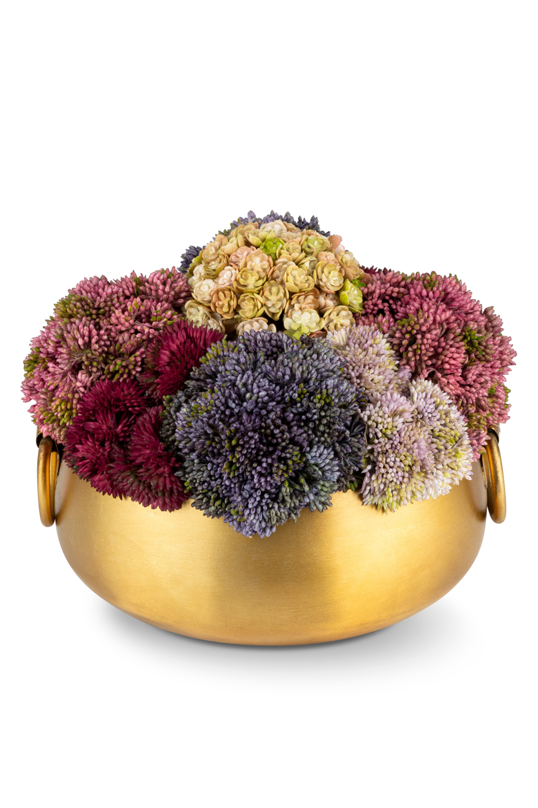 Beatrix Gold Sedum Arrangement, Main, color, Multi-Color