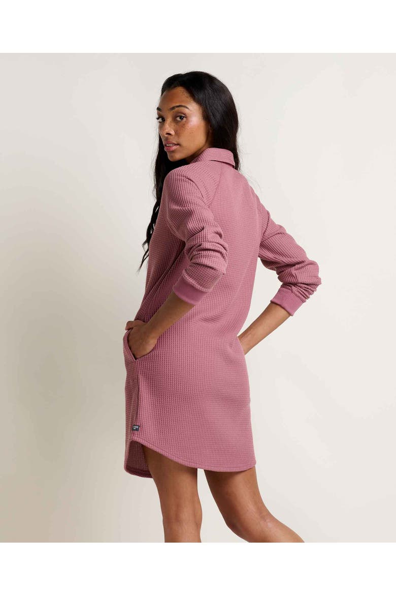 Bitterroot Long Sleeve Dress, Alternate, color, Foxglove