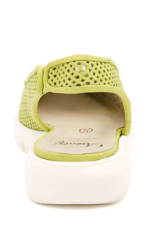 Amalfi By Rangoni Egregio Slingback Sneaker In Lime Vapor
