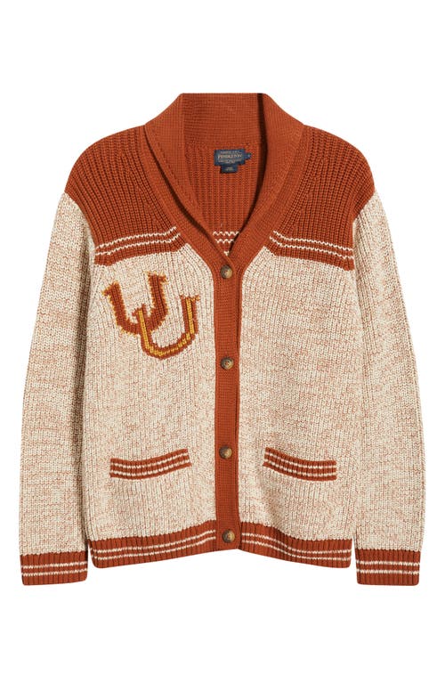 Pendleton Heritage Cardigan In Neutral